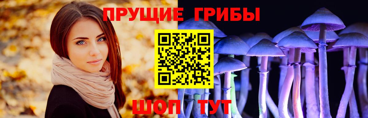 Псилоцибиновые грибы мухоморы  Вход с VPN  Магадан 